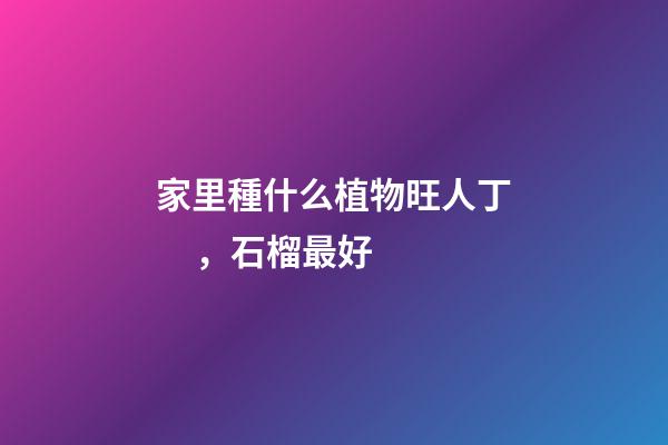 家里種什么植物旺人丁，石榴最好